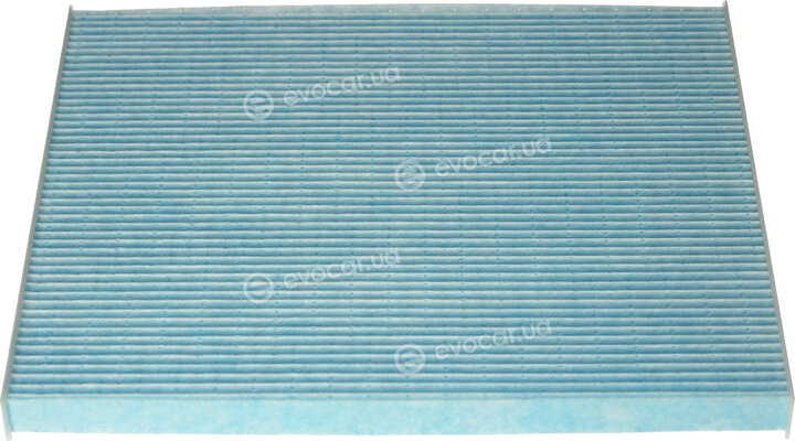 Blue Print ADBP250075