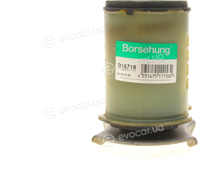 Borsehung B18719