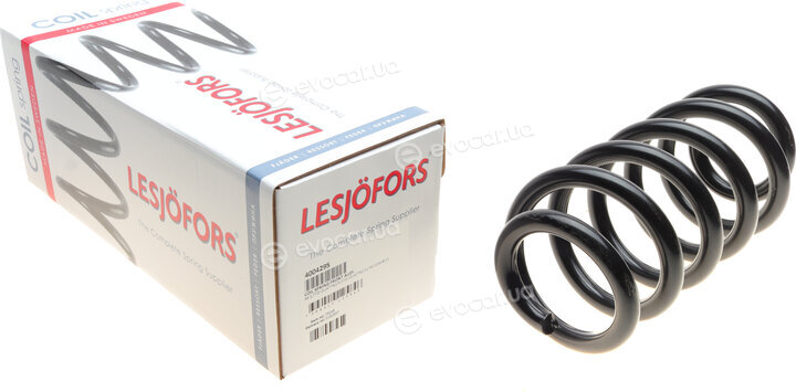 Lesjofors 4004295