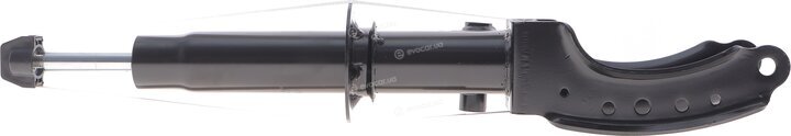 Solgy 211362