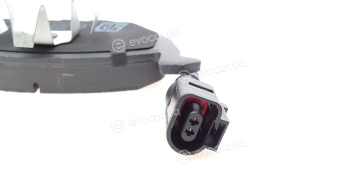 Solgy 209013