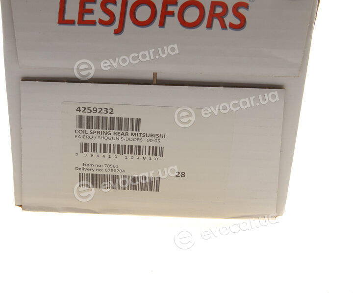 Lesjofors 4259232