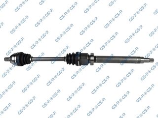GSP 218206