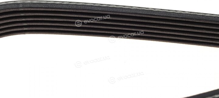 Dayco 6PK1105