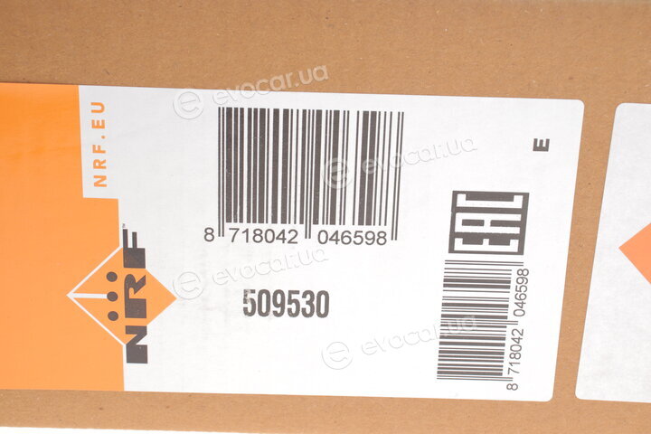 NRF 509530