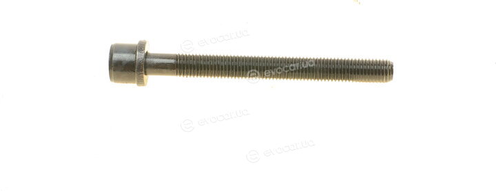 Elring 302.250