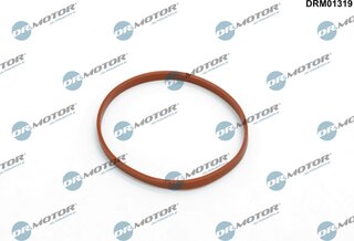 Dr. Motor DRM01319