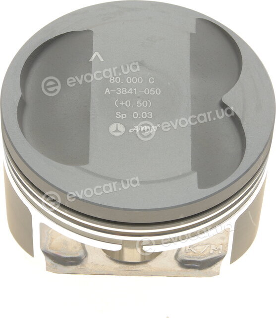 AMP PX-REN-4A-3842-050-C