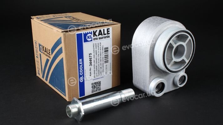 Kale 344675
