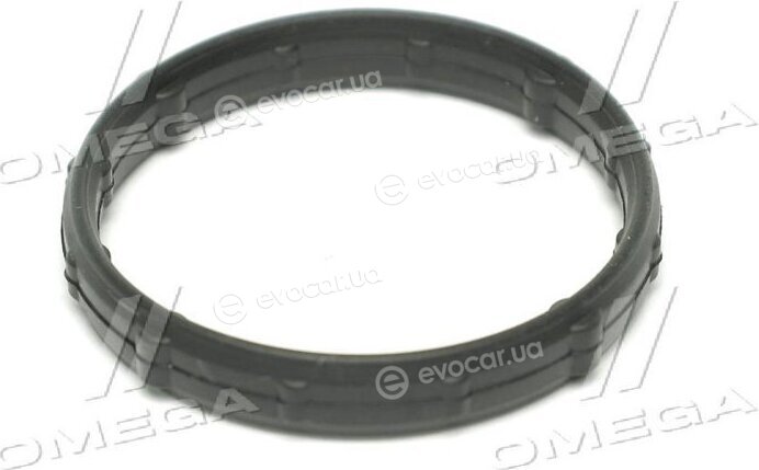 Elring 560.690