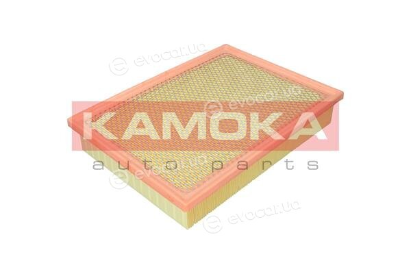 Kamoka F258801