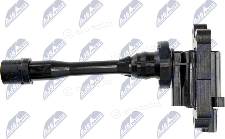 NTY ECZ-MS-006