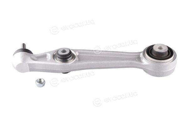 Tedgum TED38444