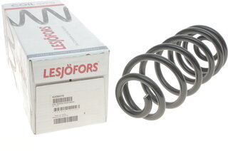 Lesjofors 4208476