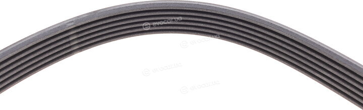 Continental 6PK1720