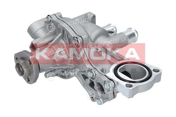 Kamoka T0043