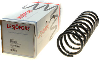 Lesjofors 4262027