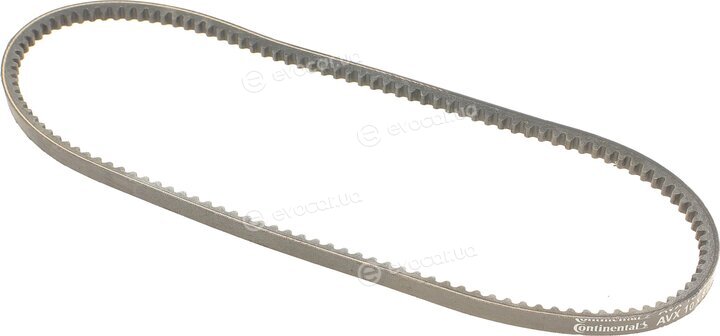 Continental AVX10X813