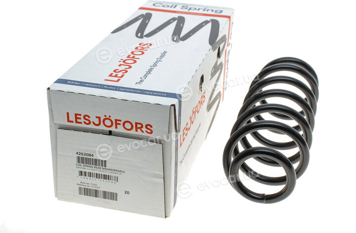 Lesjofors 4262084