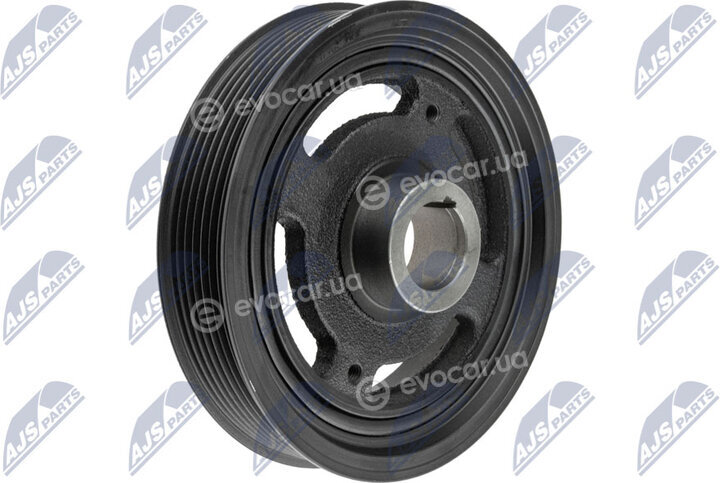NTY RKP-NS-003