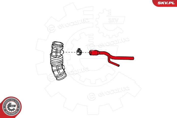 SKV 24SKV207