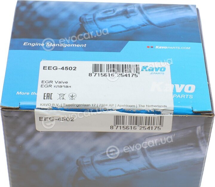 Kavo EEG-4502