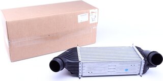 Mahle CI 181 000P