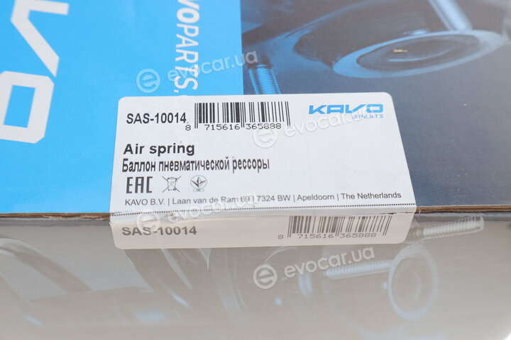 Kavo SAS-10014