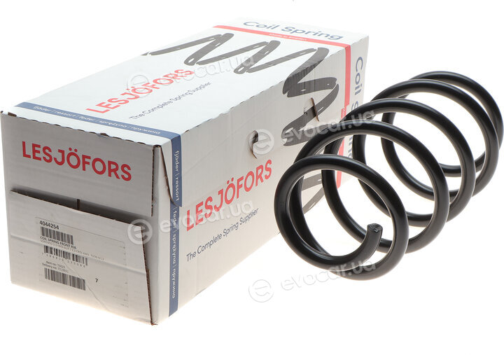 Lesjofors 4044254