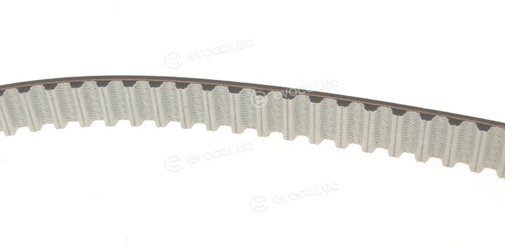 Dayco KTBWP12080