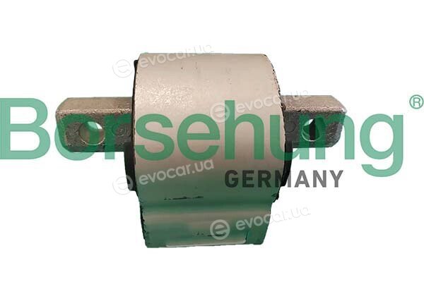 Borsehung B12658