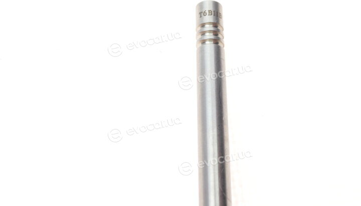 Borsehung B19001