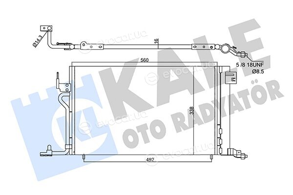 Kale 358450