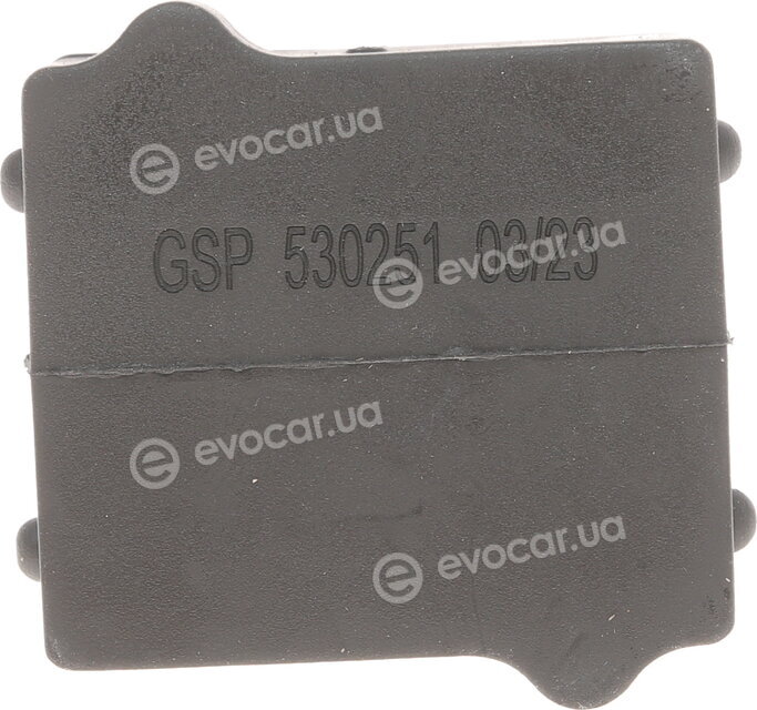 GSP 530251