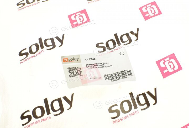 Solgy 114245