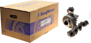 BorgWarner 53039880621