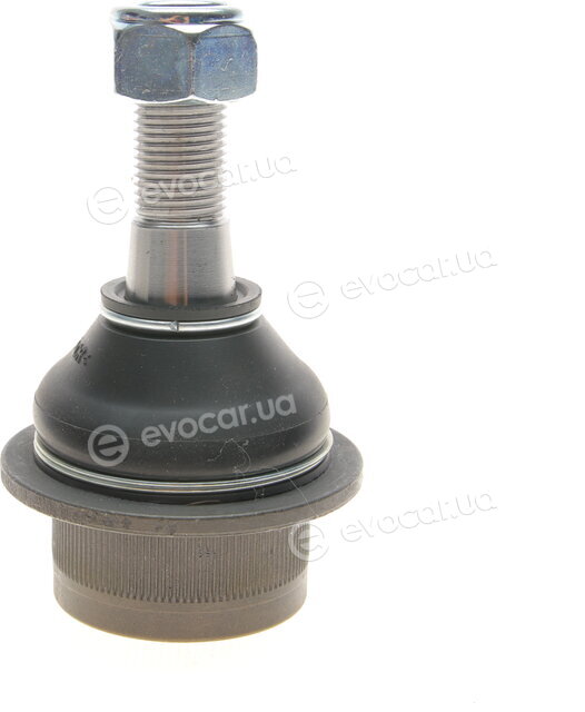 Kapimsan 31-23003