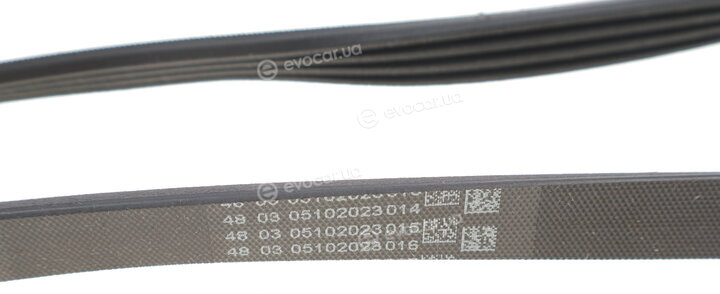 Continental 4PK811 ELAST