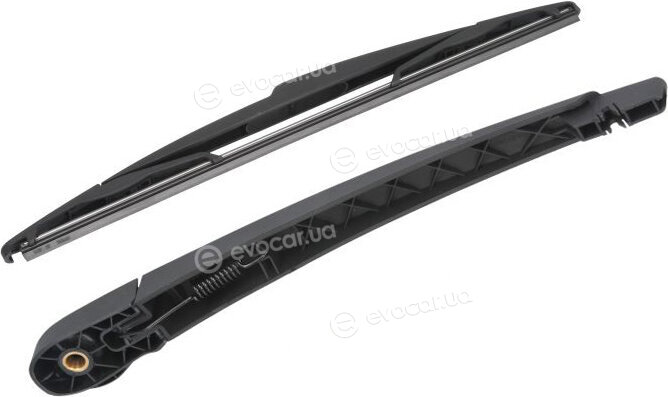 Mamooth ICDCFCA4
