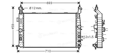 AVA OLA2431