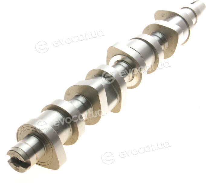 Borsehung B11306