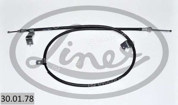 Linex 30.01.78