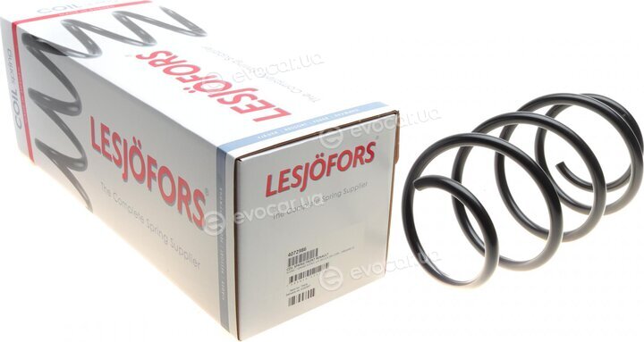 Lesjofors 4072986