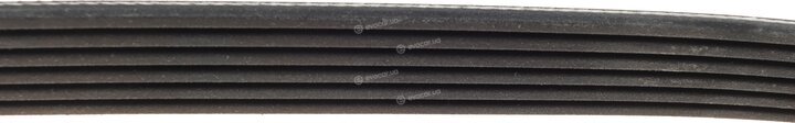 Dayco 6PK853