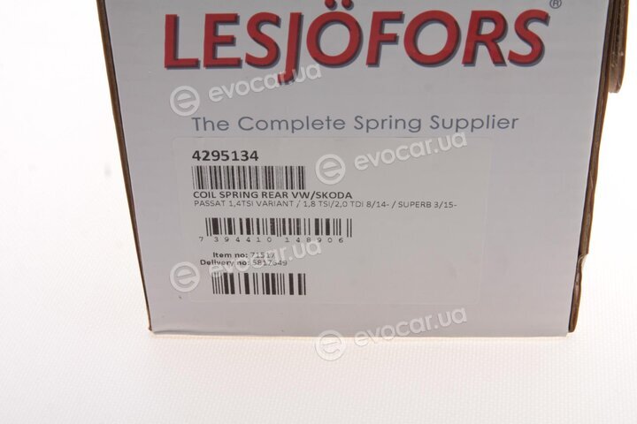 Lesjofors 4295134