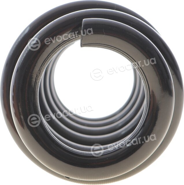 Solgy 212152