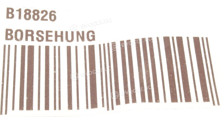 Borsehung B18826