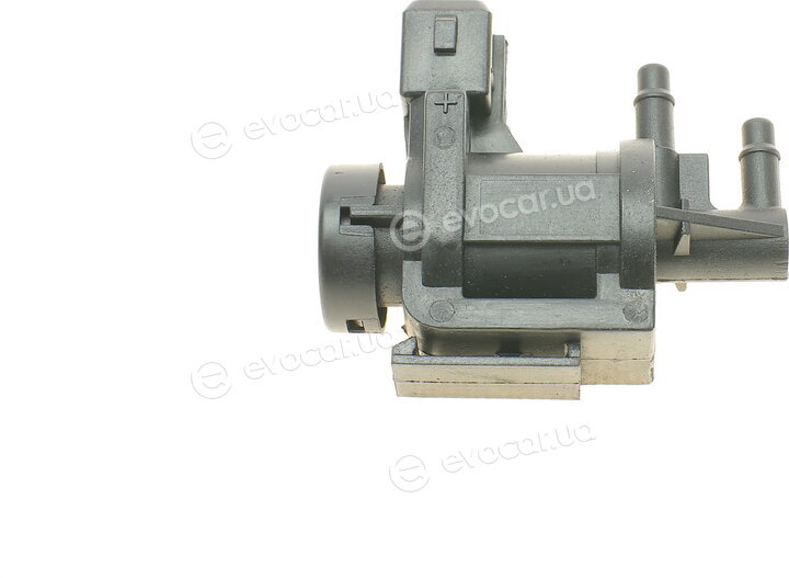 AIC 55262