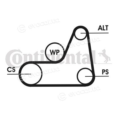 Continental 6PK1042 ELAST