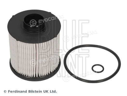 Blue Print ADBP230048